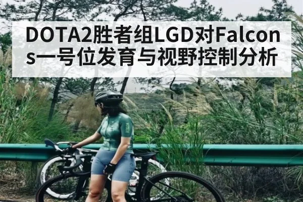 DOTA2胜者组LGD对Falcons一号位发育与视野控制分析 | c7c7